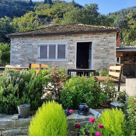 Bujtina Lugina E Vjoses Vila Përmet Exterior foto