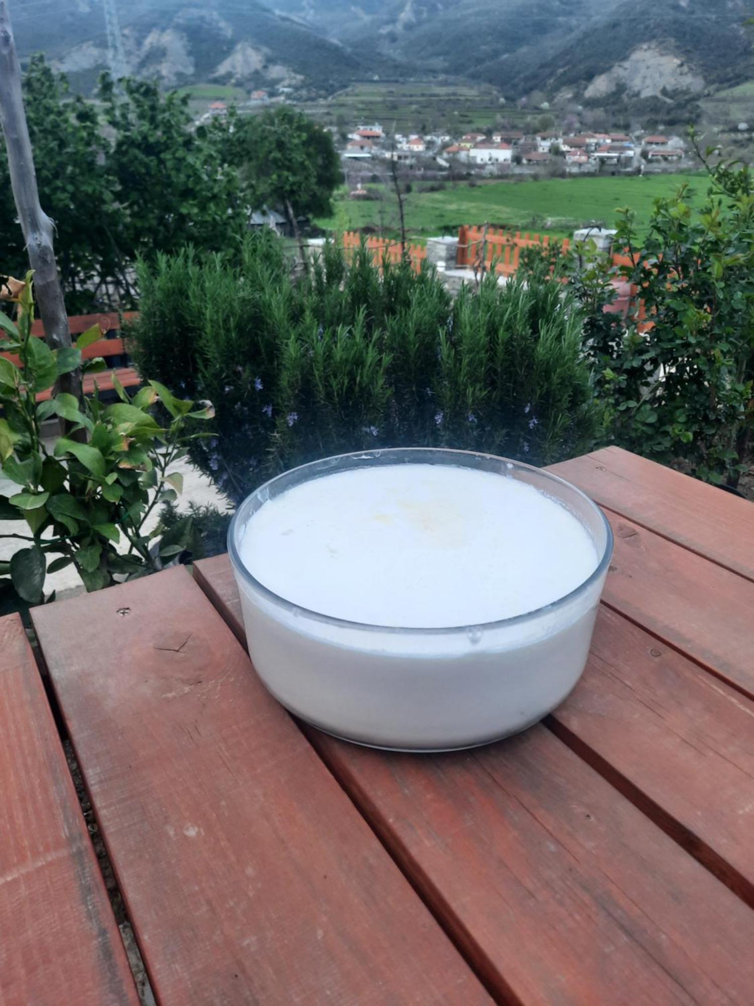 Bujtina Lugina E Vjoses Vila Përmet Exterior foto