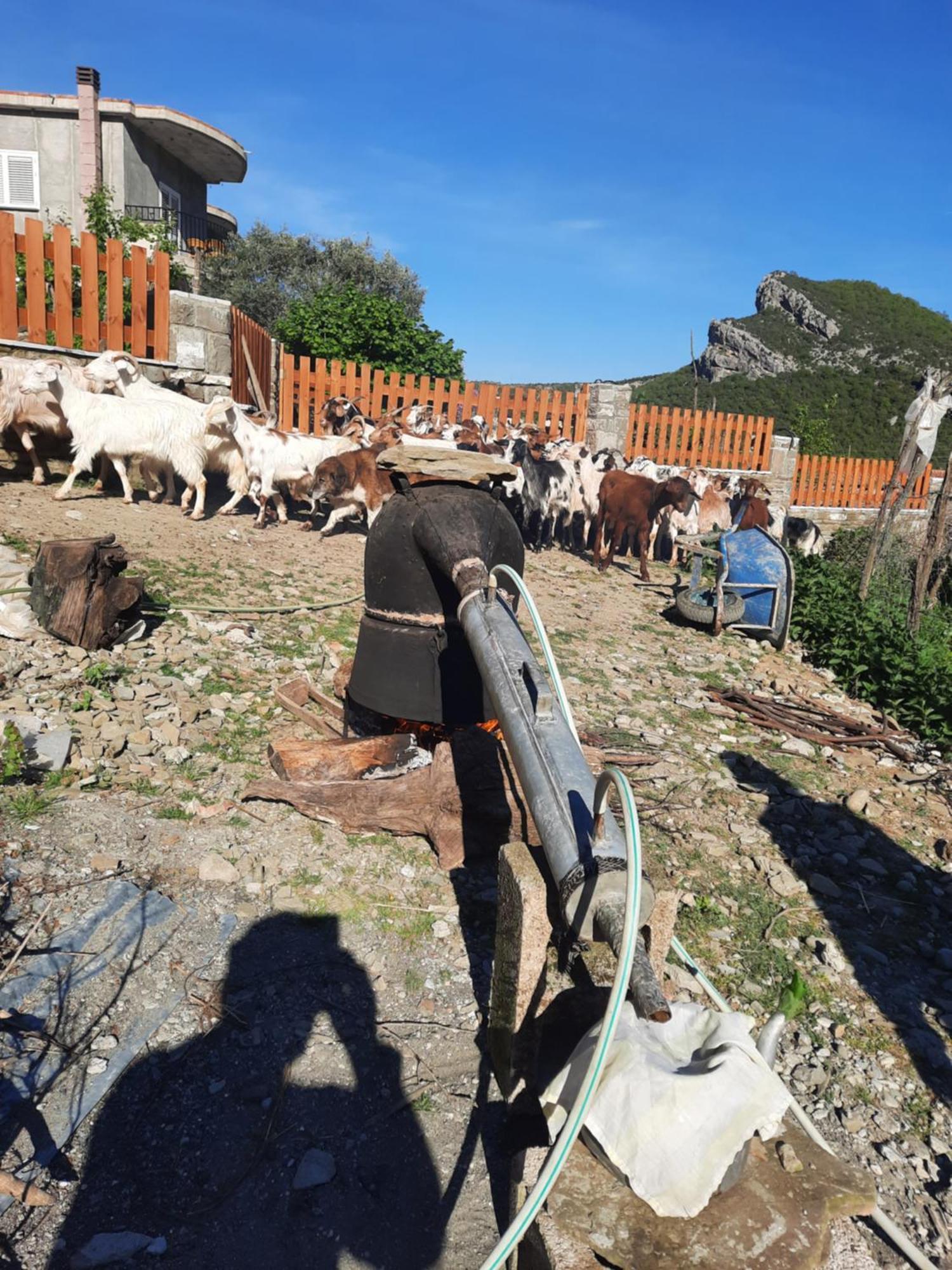 Bujtina Lugina E Vjoses Vila Përmet Exterior foto
